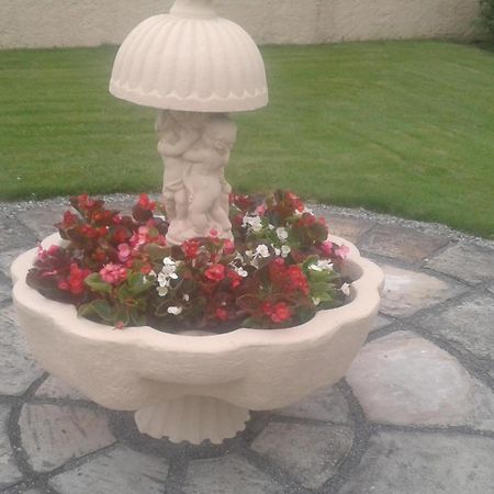 Laurel Lodge Shannonbridge Экстерьер фото